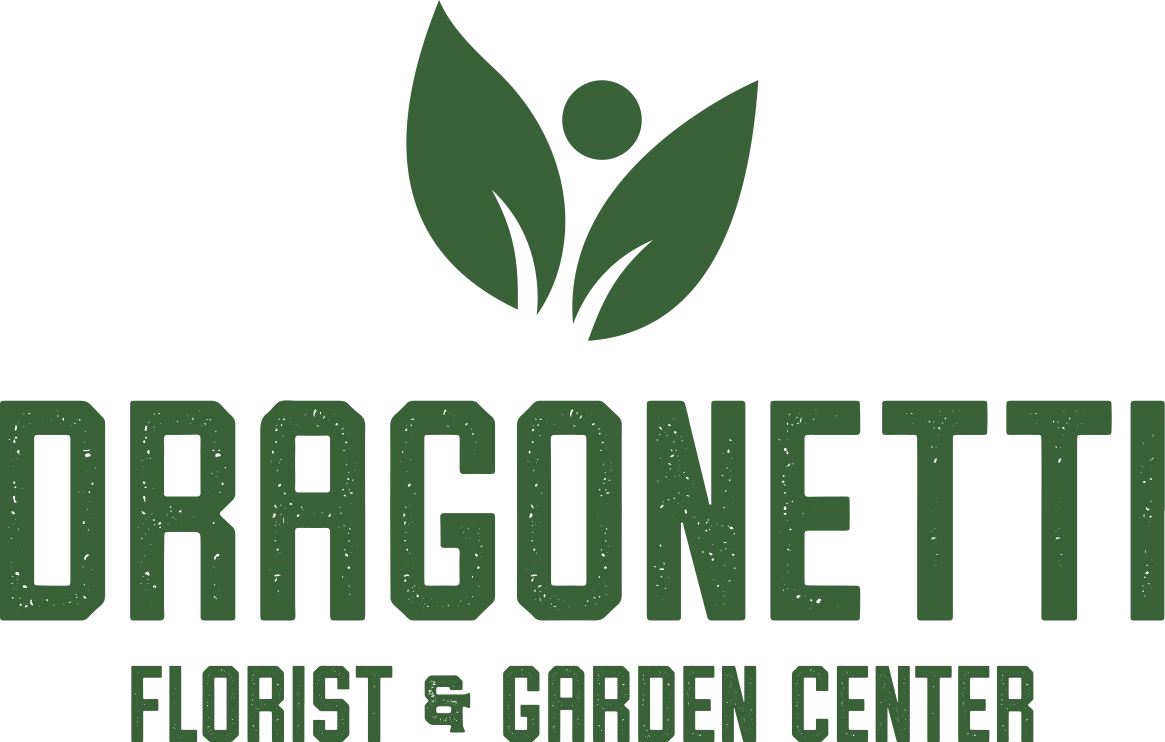Dragonetti_Logo_0307
