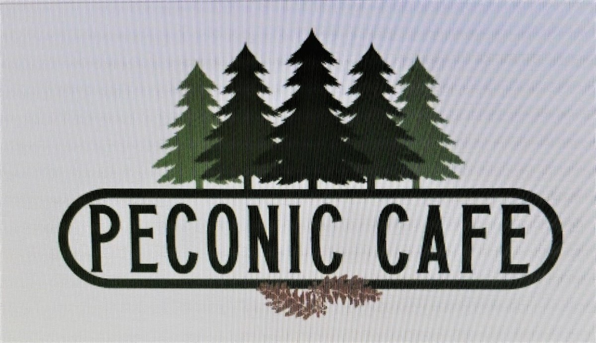 LOGO-PECONIC