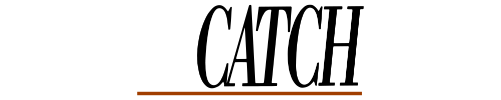 catch-1000×200-1-3